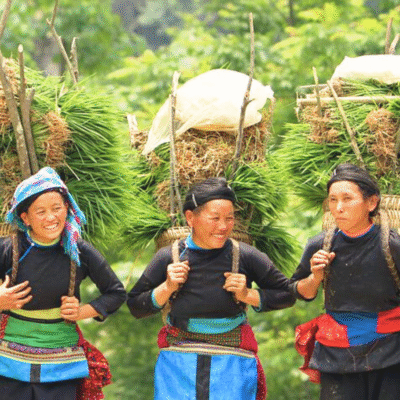 VietnamXplorer Group Trip