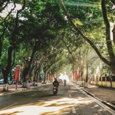 hanoi vietnam xplorer