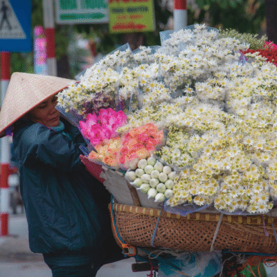 hanoi flower lady